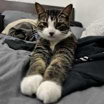 Thumbnail photo of Patsy #1