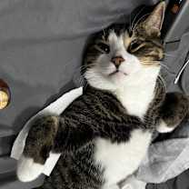 Thumbnail photo of Patsy #3