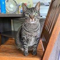 Thumbnail photo of Wisper 2021 #1