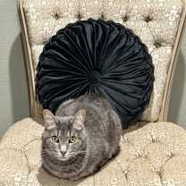 Thumbnail photo of Walter #1