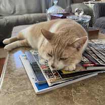 Thumbnail photo of Stanly #2