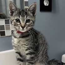 Thumbnail photo of Boots #1