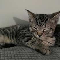 Thumbnail photo of Boots #2