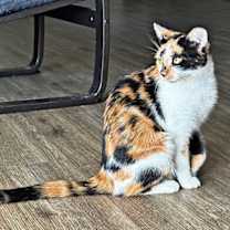 Thumbnail photo of Nana #1