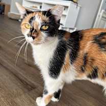 Thumbnail photo of Nana #2