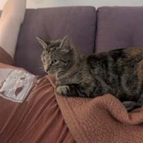 Thumbnail photo of Rosalina #4