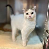 Thumbnail photo of Suki #1