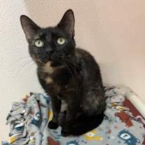 Thumbnail photo of Bonnie Harper #2