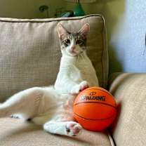 Thumbnail photo of BUTTONS #1