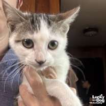 Thumbnail photo of Elliana #2