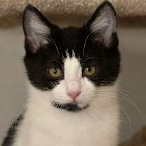 Thumbnail photo of Roll #3