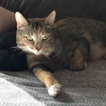 Thumbnail photo of Violet #2