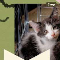 Thumbnail photo of Dot #3