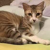 Thumbnail photo of Sky #1