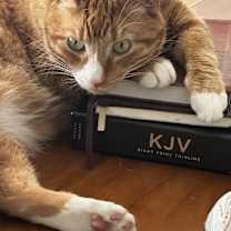 Thumbnail photo of Sherman #3