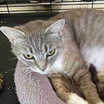 Thumbnail photo of Meredith #2