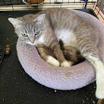 Thumbnail photo of Meredith #3