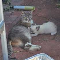 Thumbnail photo of Meredith #4