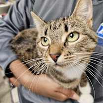 Thumbnail photo of Mama Cher #2