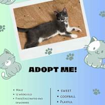 Thumbnail photo of Mr Pennybags #1