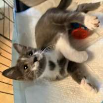 Thumbnail photo of Mr Pennybags #3