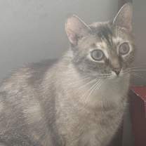 Thumbnail photo of Winter #2