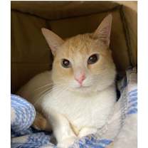 Thumbnail photo of Sonny #1