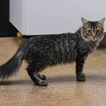 Thumbnail photo of Rhonda #4