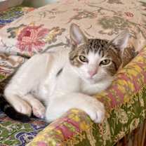 Thumbnail photo of TEDDY #2