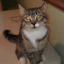 Thumbnail photo of Marcus #2