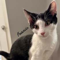 Thumbnail photo of Frances #1