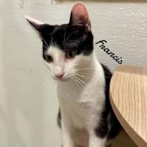 Thumbnail photo of Frances #2