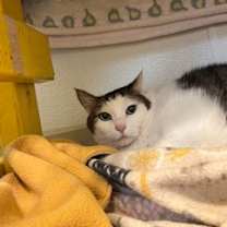 Thumbnail photo of May #2