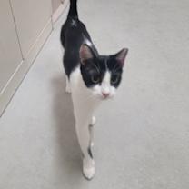 Thumbnail photo of Lorelai #ms-curious #4