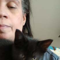 Thumbnail photo of Diamond & Domino Sisters #4