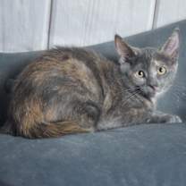 Thumbnail photo of Zipper #3