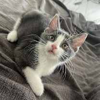 Thumbnail photo of Cherry Teegan #1