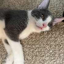 Thumbnail photo of Cherry Teegan #2