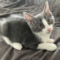 Thumbnail photo of Cherry Teegan #3