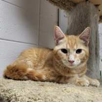 Thumbnail photo of Marvin #1