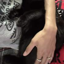 Thumbnail photo of Nova #4