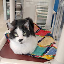 Thumbnail photo of Monique #4