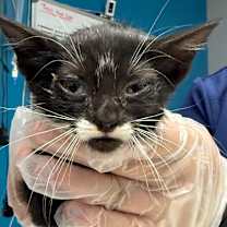 Thumbnail photo of Sarah  #2