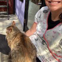 Thumbnail photo of Blondie #3