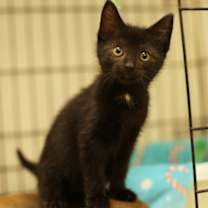 Thumbnail photo of Desiree #1