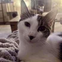 Thumbnail photo of Burke #2