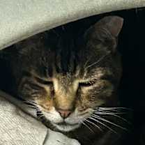 Thumbnail photo of Hunter Hewlett #1