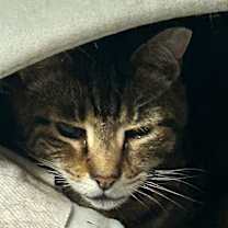 Thumbnail photo of Hunter Hewlett #2