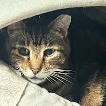 Thumbnail photo of Hunter Hewlett #3