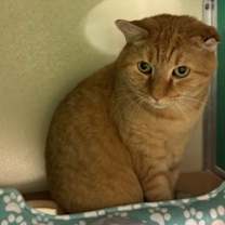 Thumbnail photo of Daniel MH 11 #2